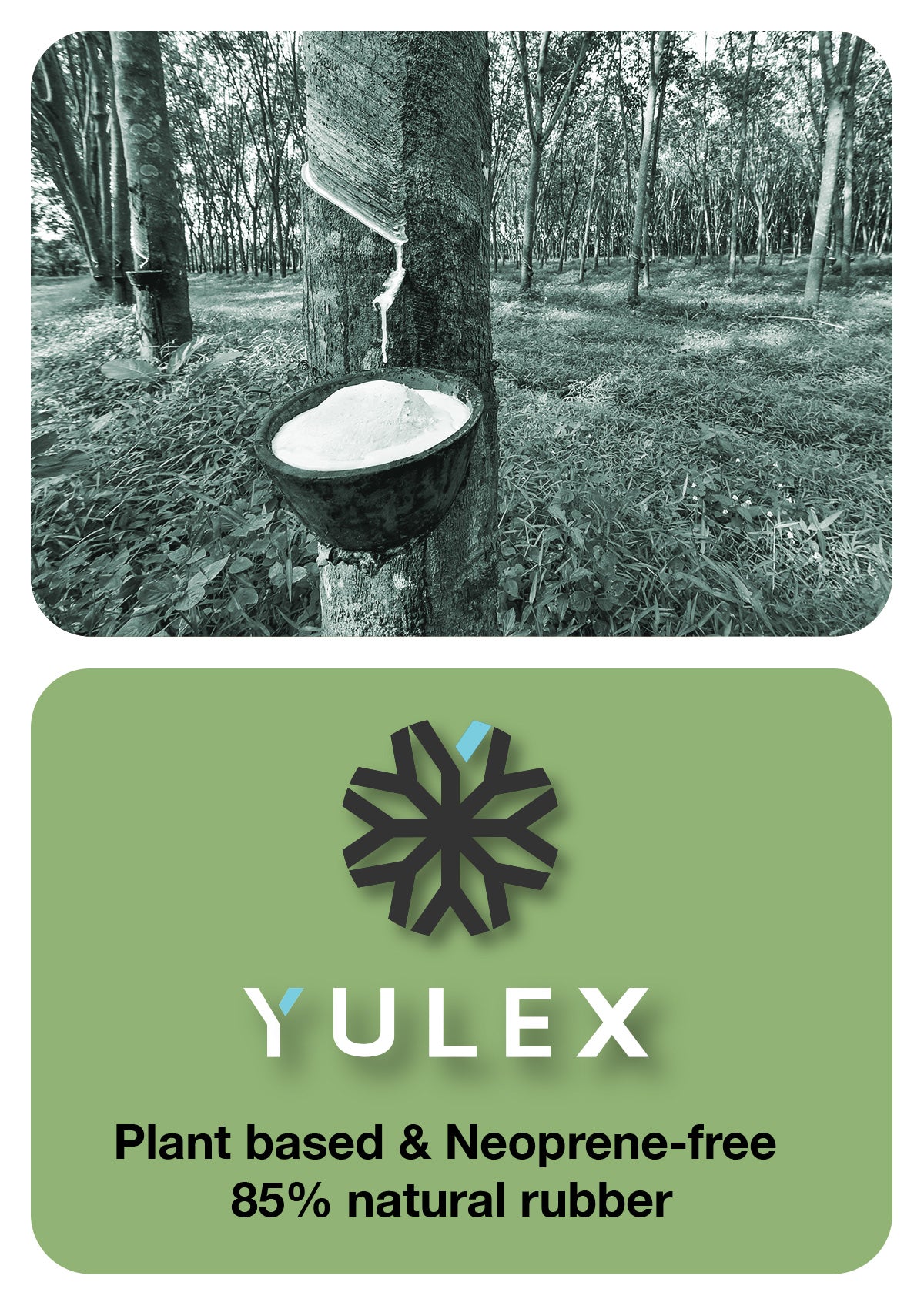 3/2 Yulex® Zipperless Wetsuit (Last Chance)