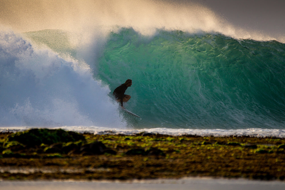 6ft Standard Cord-Clear