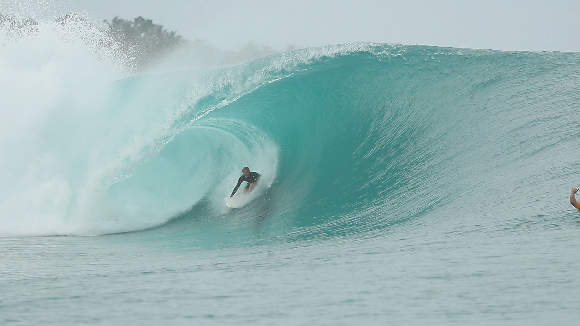 Hand Foiled 2 + 1 Twin Fins