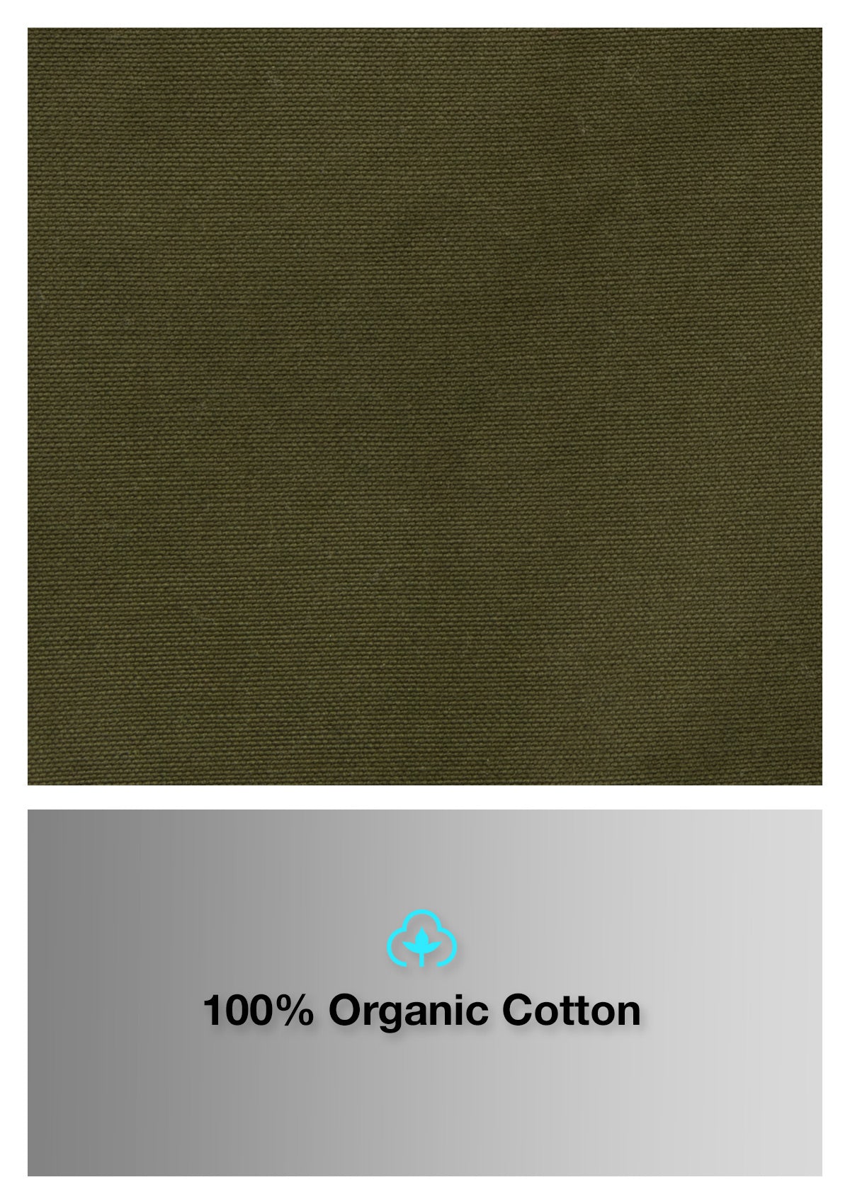 (LAST CHANCE) Organic Cotton Straight Leg Pant - Headland Green