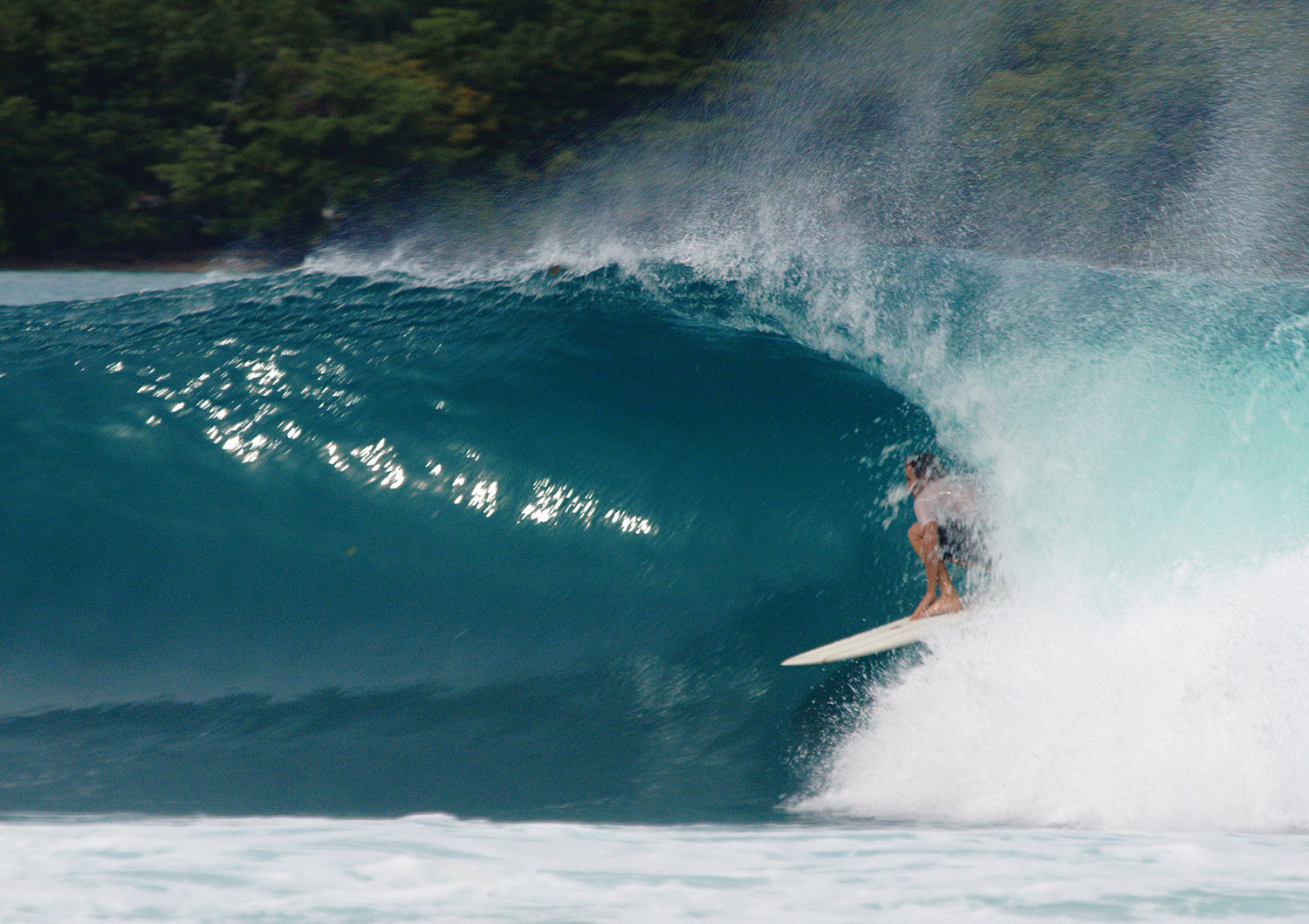 Torren Martyn Hand Foiled Calypte Twin Fins