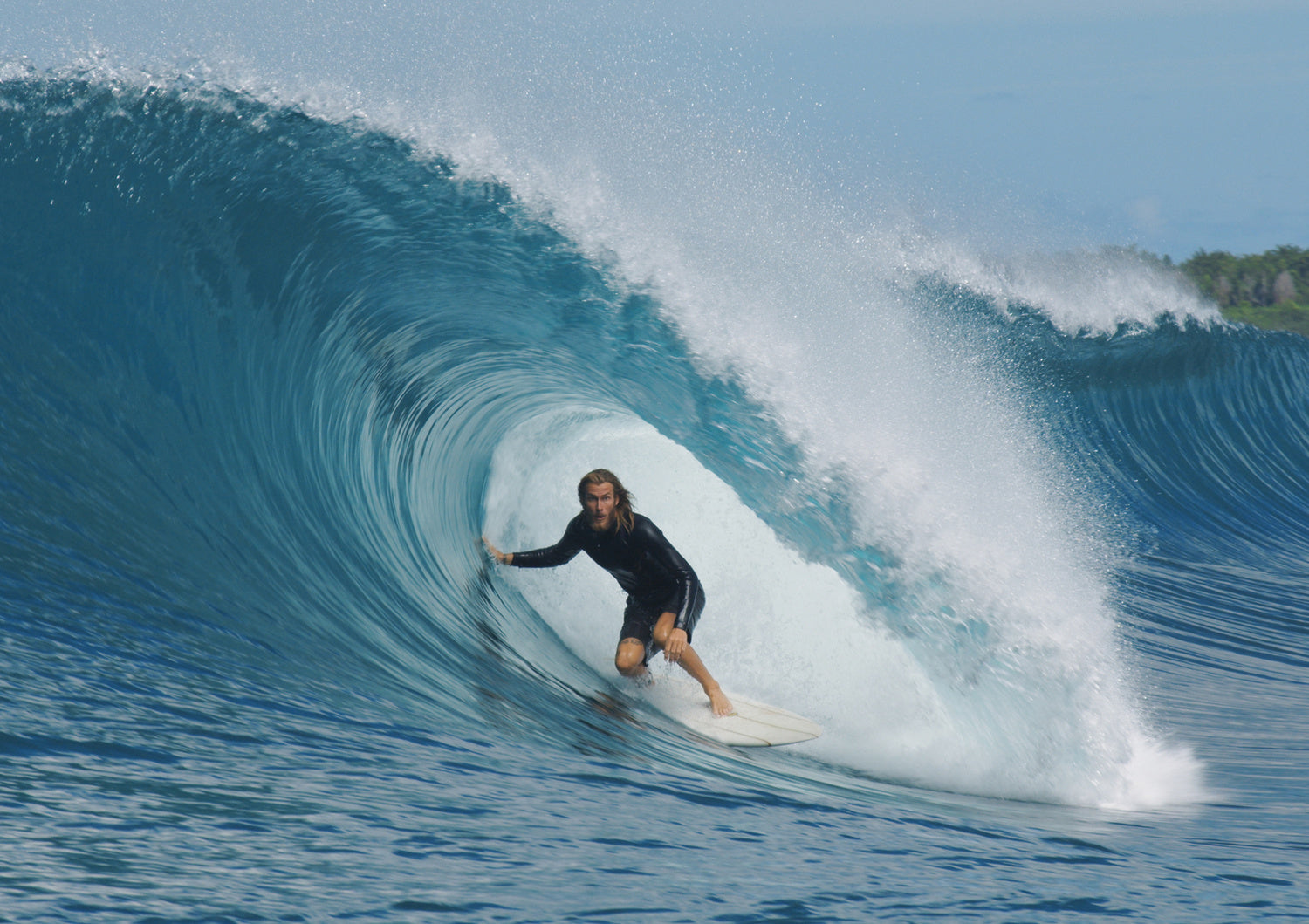 Torren Martyn Hand Foiled Calypte Twin Fins