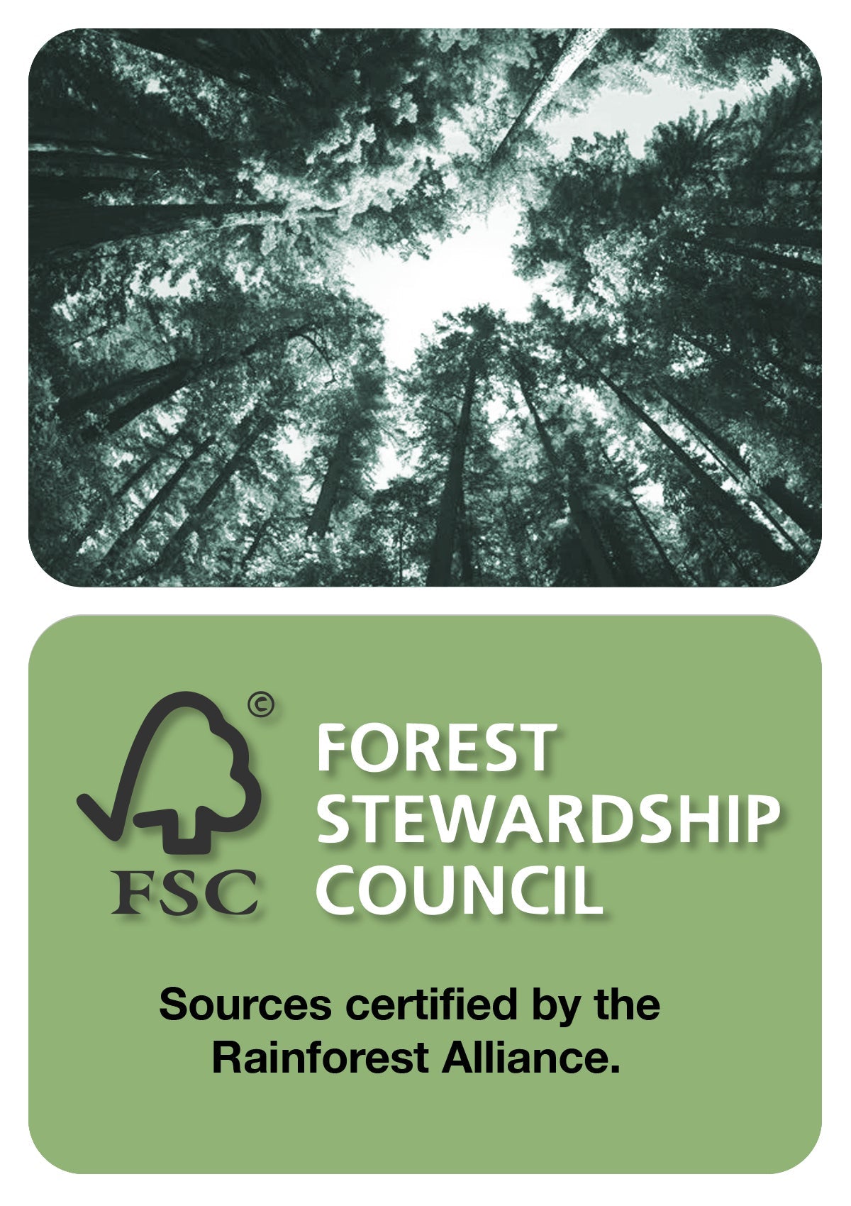 4/3 Enclosed Zip Liquid Sealed Natural Rubber Wetsuit