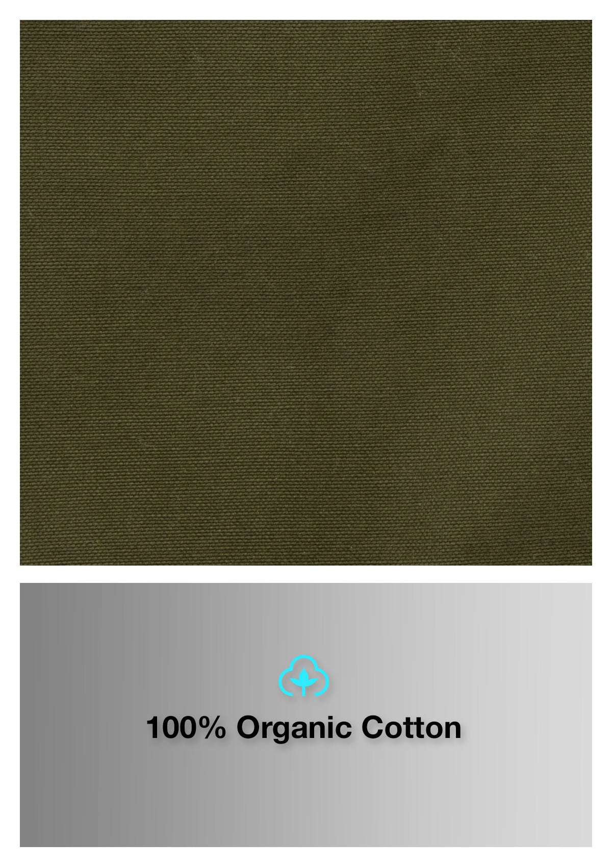 Organic Cotton Walkshort - Headland Green